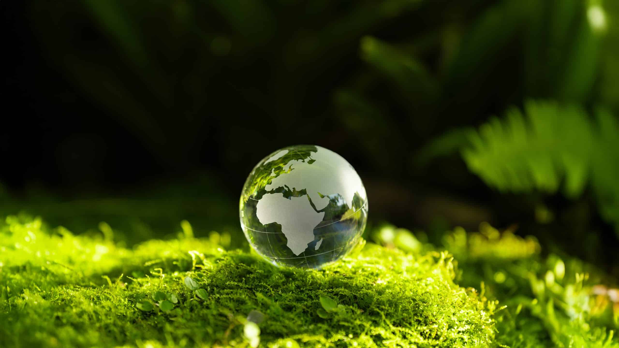 A small glass terrestrial globe, featuring white continents, rests on vibrant green moss against a blurred dark green background.